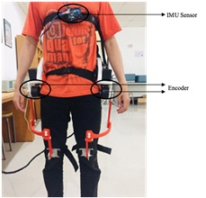 Exoskeleton Lower Limb