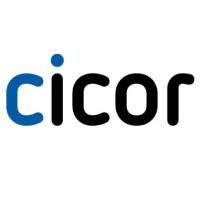 PT Cicor